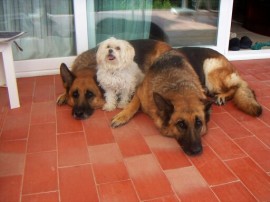 Leyla, y Nina